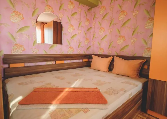 бумеранг Konukevi