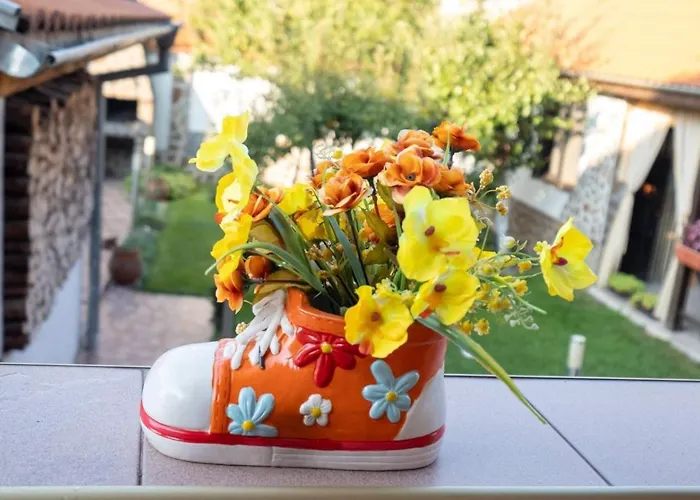 Konukevi бумеранг Velingrad